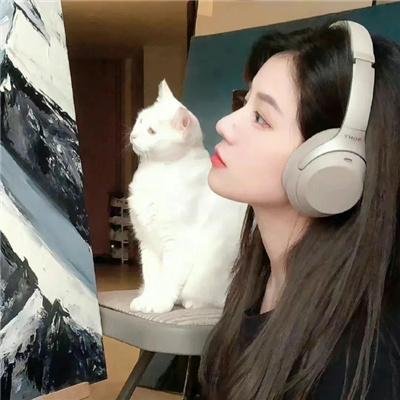 抛妻奇谈2
